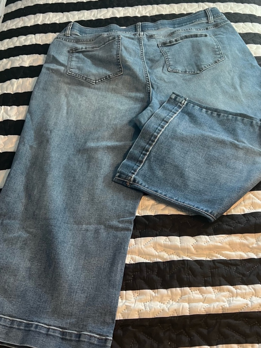 Terra & Sky Light Blue Wide-Leg Jeans (Ankle Jean) - Picture 2 of 7